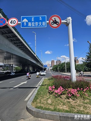 [花開半夏】+花海的早晨