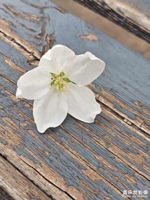 【七彩夏日】+彩與光影