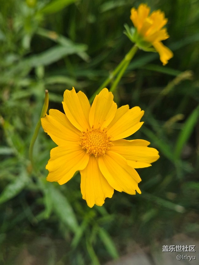 【瞬間及永恒】+定格夏日美好