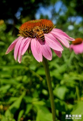 【七彩夏日】浪漫氛圍
