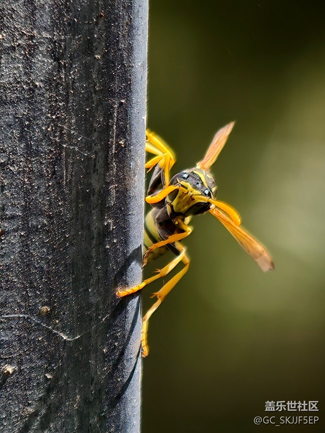 【瞬間及永恒】微觀世界漫游 【瞬間及永恒】微觀世界漫游