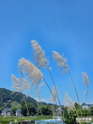 婺源月亮灣景區(qū)