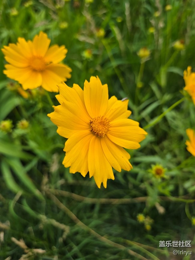 【瞬間及永恒】+定格夏日美好