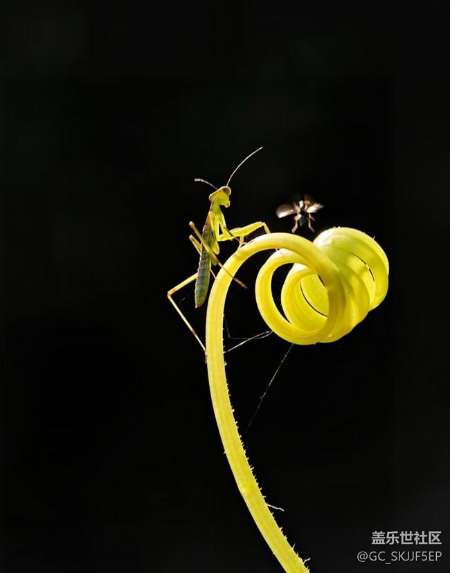 【瞬間及永恒】微觀世界漫游 【瞬間及永恒】微觀世界漫游