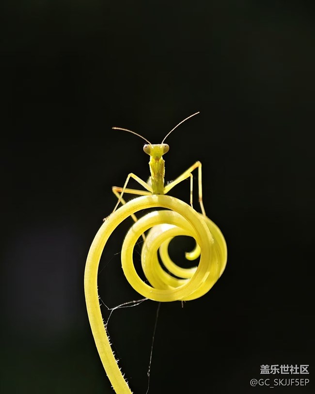 【瞬間及永恒】微觀世界漫游 【瞬間及永恒】微觀世界漫游