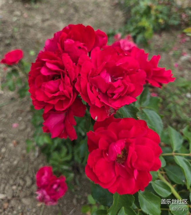 【瞬間及永恒】+定格夏日美好