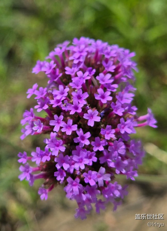 【瞬間及永恒】+定格夏日美好