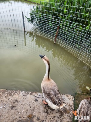 【七彩夏日】露營(yíng)