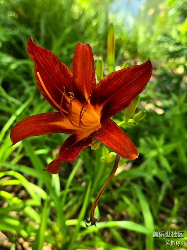 【瞬間及永恒】+定格夏日美好