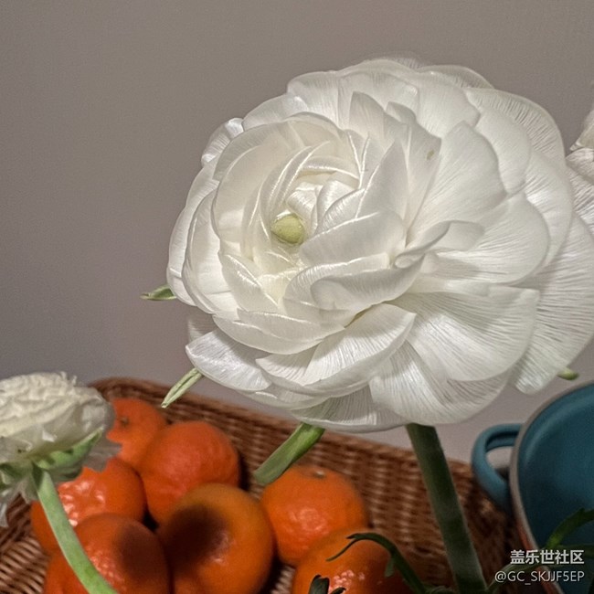 【瞬間及永恒】微觀世界漫游 【瞬間及永恒】微觀世界漫游