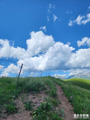 【七彩夏日】行攝昭蘇野狼谷