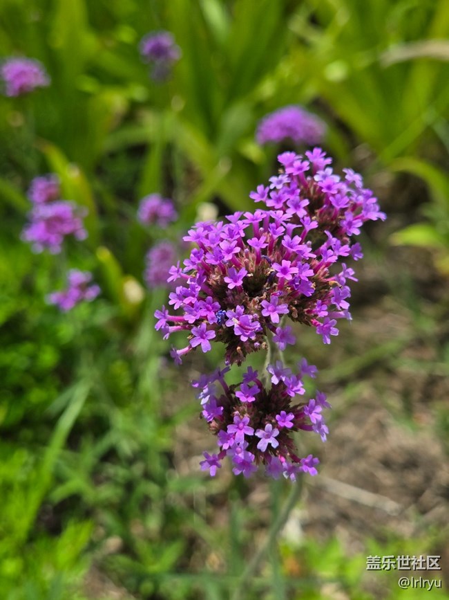 【瞬間及永恒】+定格夏日美好