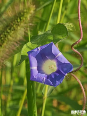 【七彩夏日】+陽(yáng)光明媚