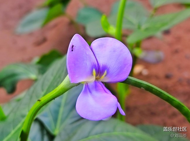 【瞬間及永恒】夏意漫染，萬物生息