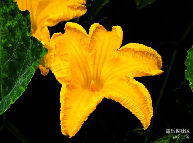 【瞬間及永恒】夏意漫染，萬物生息