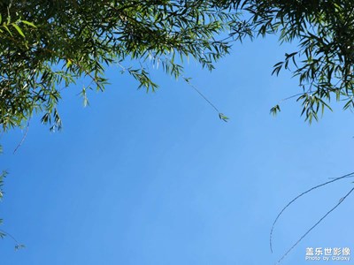 【七彩夏日】+炎炎夏日