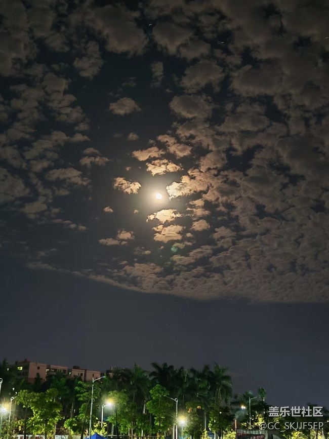 【消失的日落】城市暮色與月夜