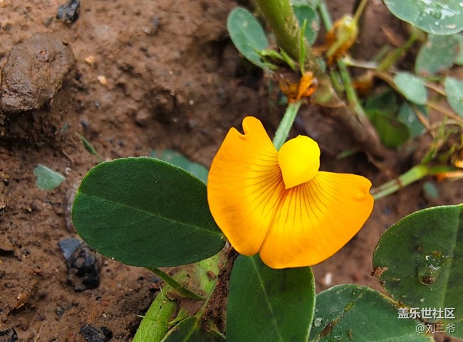 【瞬間及永恒】夏意漫染，萬物生息