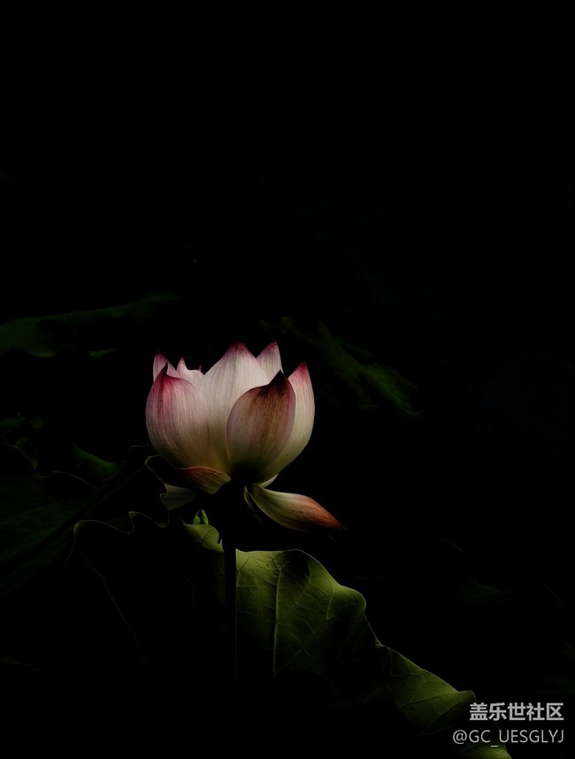 【消失的日落】暮色絮語(yǔ)