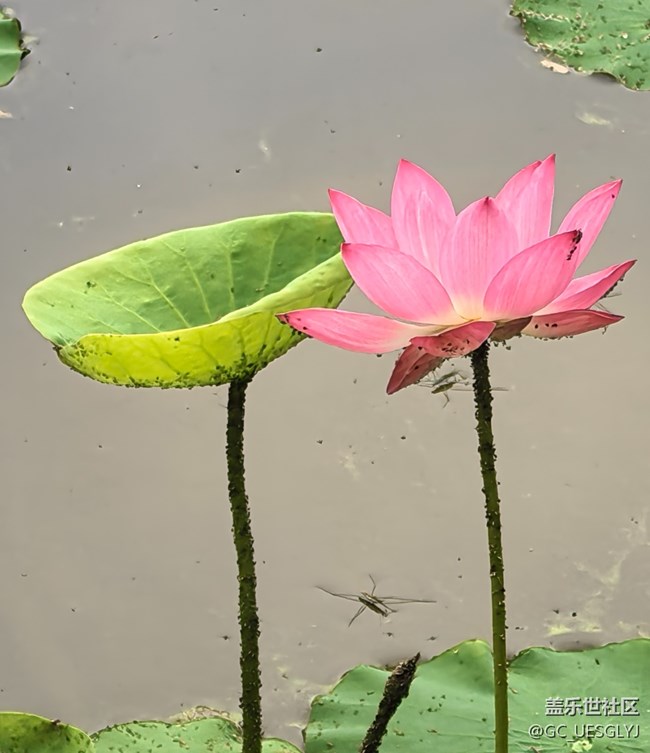 【瞬間及永恒】藏在細(xì)微里的浪漫 【瞬間及永恒】藏在細(xì)微里的浪漫