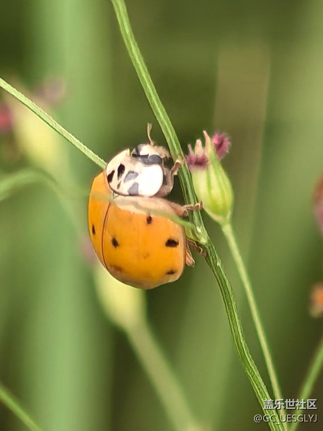【瞬間及永恒】藏在細(xì)微里的浪漫 【瞬間及永恒】藏在細(xì)微里的浪漫