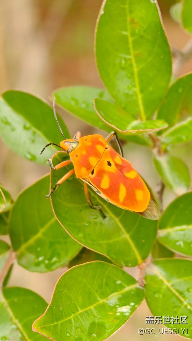 【瞬間及永恒】藏在細(xì)微里的浪漫 【瞬間及永恒】藏在細(xì)微里的浪漫