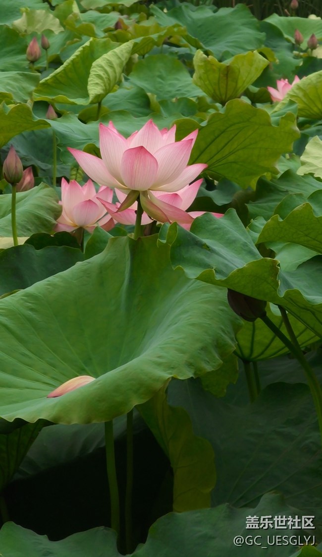 【瞬間及永恒】藏在細(xì)微里的浪漫 【瞬間及永恒】藏在細(xì)微里的浪漫