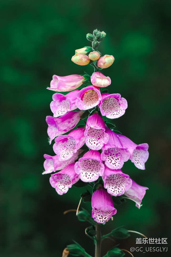 【瞬間及永恒】藏在細(xì)微里的浪漫 【瞬間及永恒】藏在細(xì)微里的浪漫