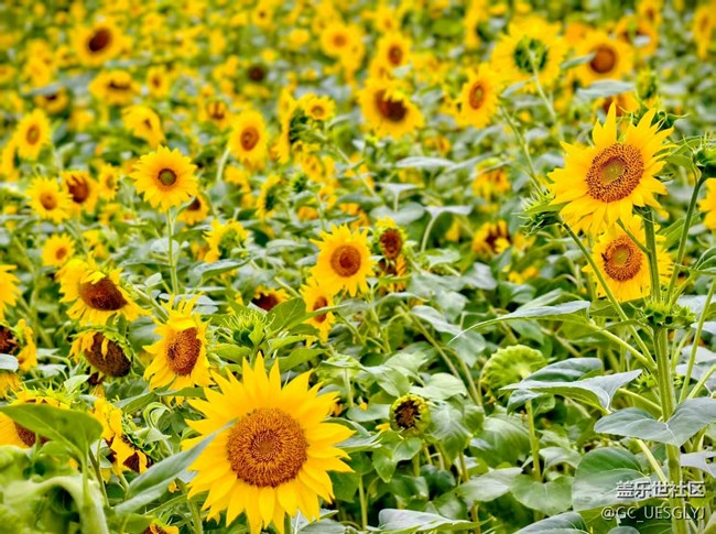 【瞬間及永恒】藏在細(xì)微里的浪漫 【瞬間及永恒】藏在細(xì)微里的浪漫