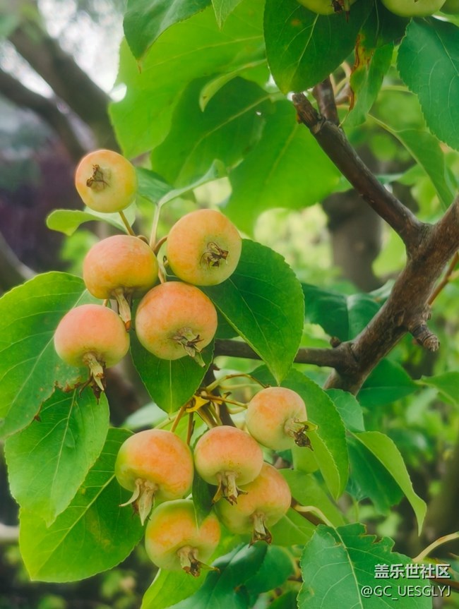 【瞬間及永恒】藏在細(xì)微里的浪漫 【瞬間及永恒】藏在細(xì)微里的浪漫
