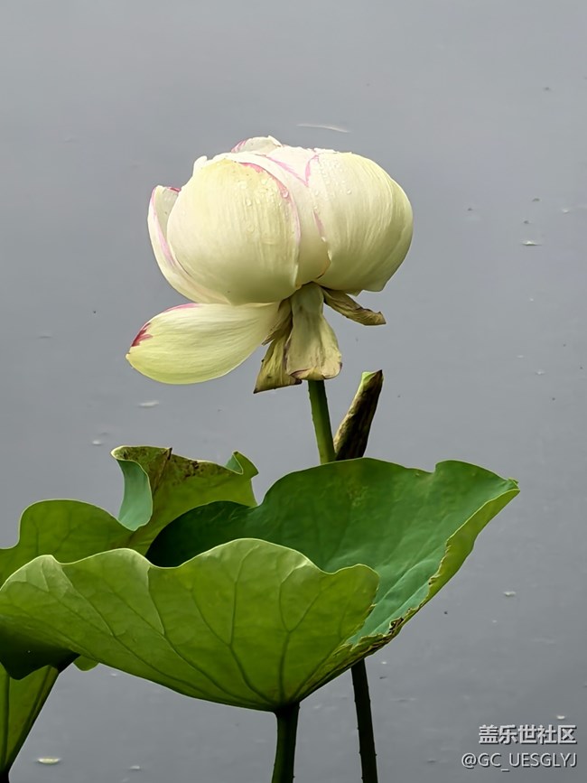 【瞬間及永恒】藏在細(xì)微里的浪漫 【瞬間及永恒】藏在細(xì)微里的浪漫