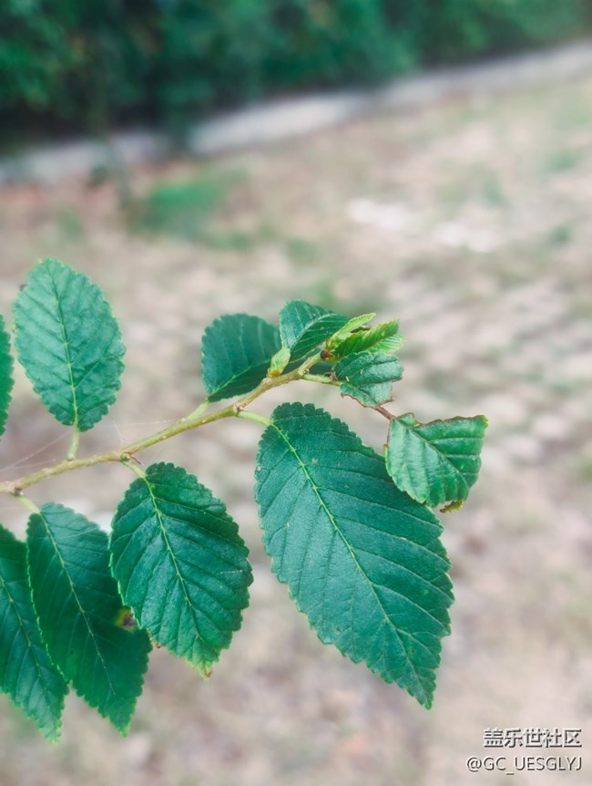 【瞬間及永恒】藏在細(xì)微里的浪漫 【瞬間及永恒】藏在細(xì)微里的浪漫