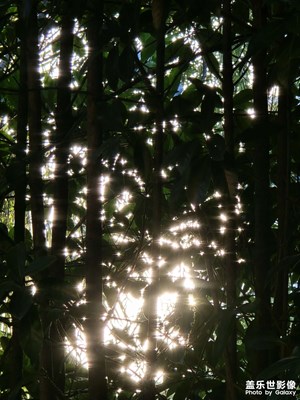 【七彩夏日】+ 七彩夏日
