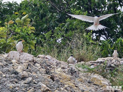 十幾年同學(xué)惠州之旅