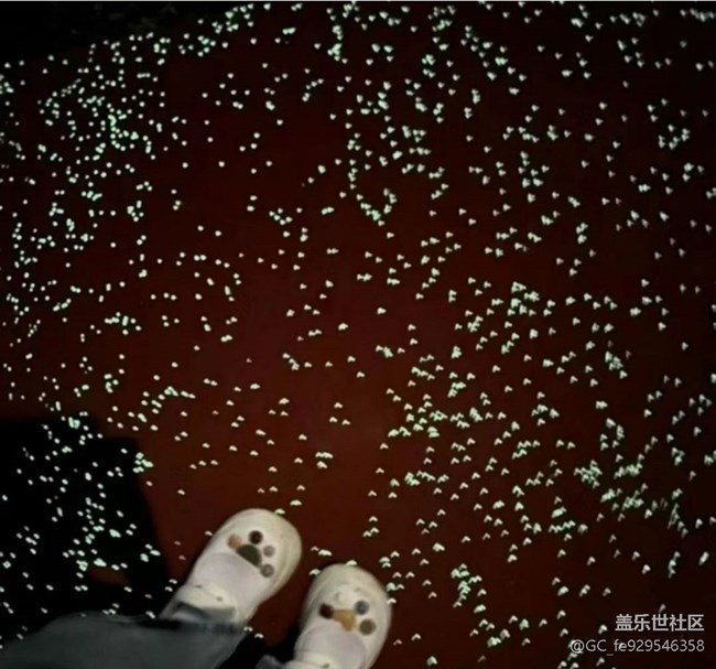 【雨過天晴】美麗夏夜