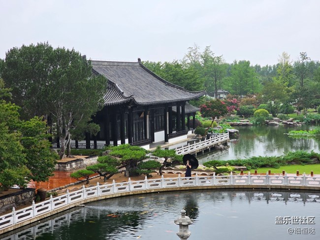 山水之間 極致輕薄——臨沂星部落S25Edge品鑒會回顧