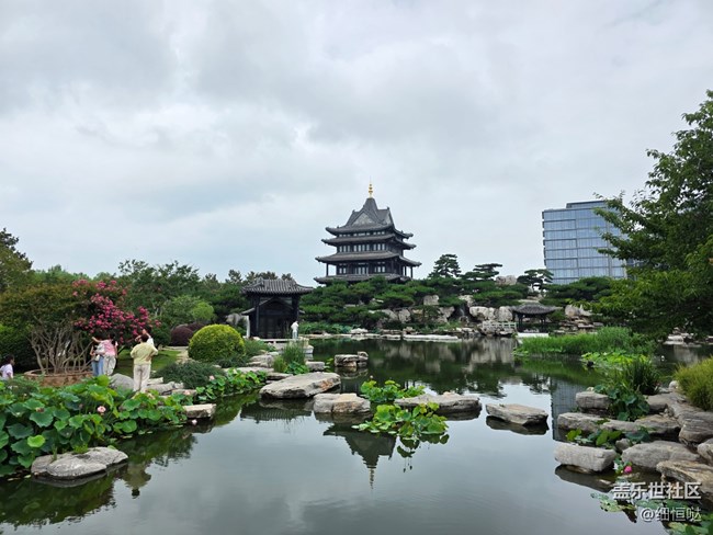 山水之間 極致輕薄——臨沂星部落S25Edge品鑒會回顧