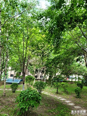 【七彩夏日】+夏日美景