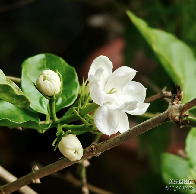 【瞬間及永恒】自然的微觀與宏觀敘事