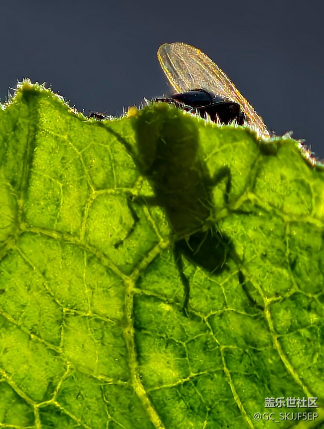 【瞬間及永恒】自然的微觀與宏觀敘事
