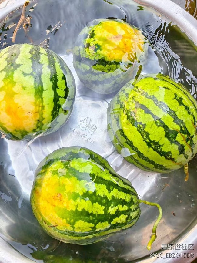 【雨過天晴】周末回家