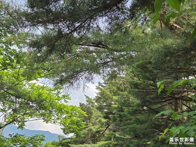 【七彩夏日】+寧靜的清晨