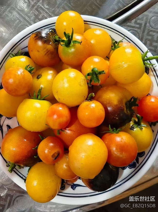【雨過天晴】周末回家