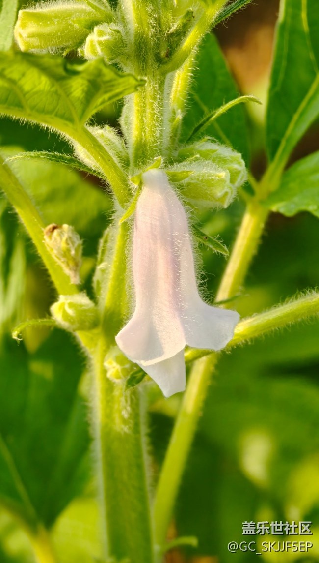 【瞬間及永恒】自然的微觀與宏觀敘事