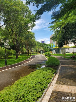 【七彩夏日】夏日公園