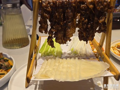 【七彩夏日】+玩樂一夏