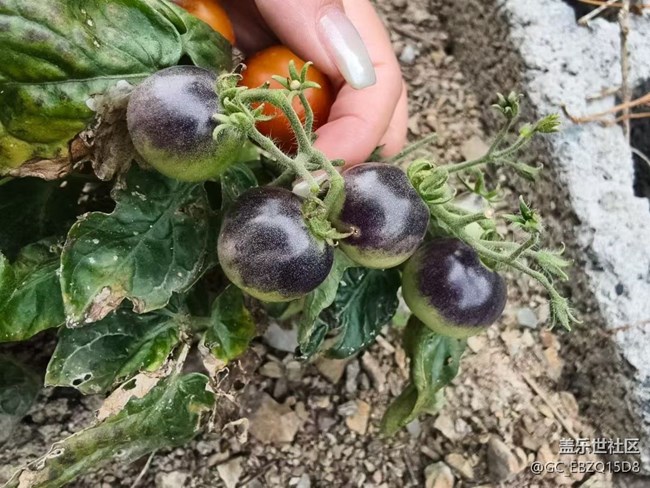 【雨過天晴】周末回家