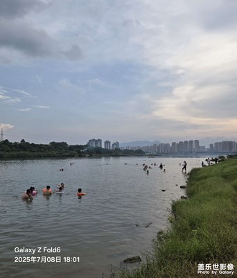 【仲夏如夢】仲夏苦夜短，開軒納微涼