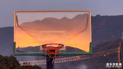 【遠(yuǎn)與近】+?廣東荔枝豐收的季節(jié)