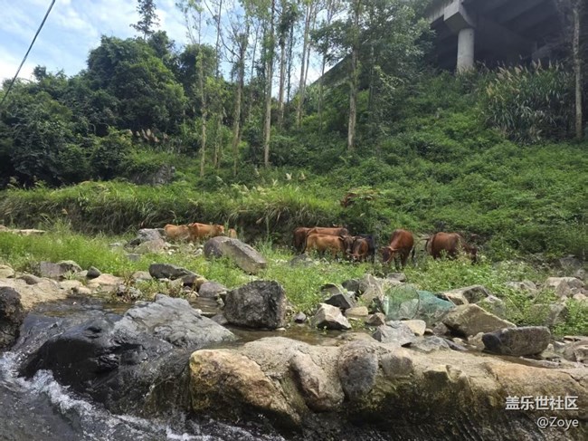 廈門星部落加7月6號志閩漂攝影活動